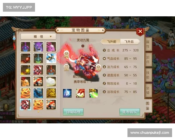 觅仙尊,问道天涯揽九霄 觅仙尊,问道天涯揽九霄